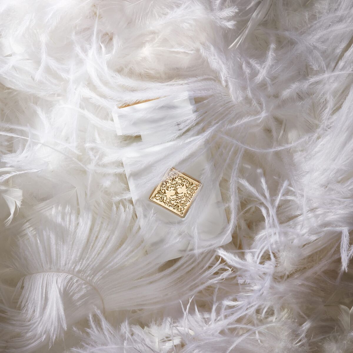 V1H1DA4E729C51D38E90B7303F2378FCE00RP6